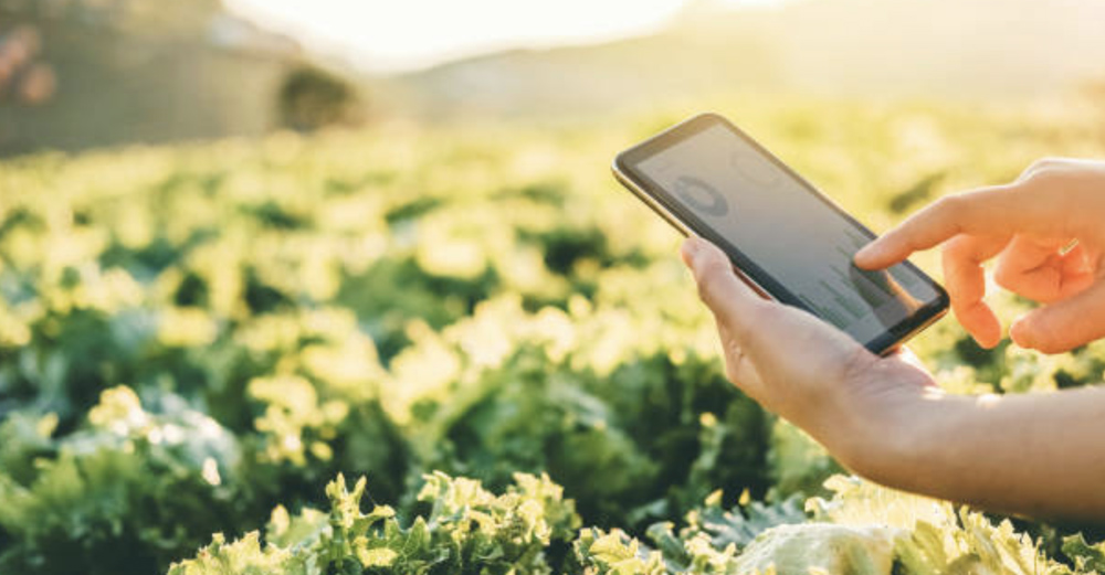 agricoltura-di-precisione-puglia-nexima